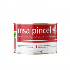 Msa Brush